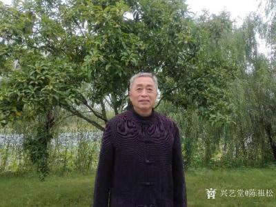 陈祖松生活-游览阳新县莲花湖公园【图1】