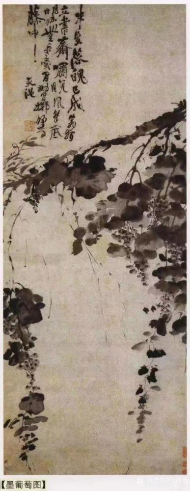 马培童收藏-对话明代徐渭花鸟画，潘玮萱评马培童（55）
  明代后期，无论花鸟、山水、人物【图1】