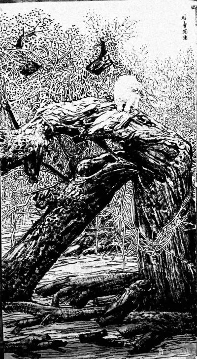 马培童收藏-对话明代徐渭花鸟画，潘玮萱评马培童（55）
  明代后期，无论花鸟、山水、人物【图4】