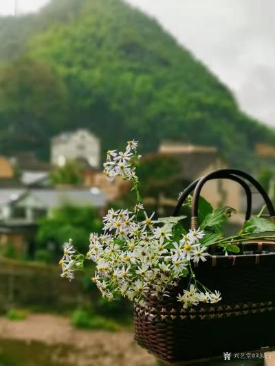 刘晓宁收藏-这个暖冬可以约画画。围着火炉烤着红薯，拉着家常，画着画，红薯的香味，欢声笑语飘荡【图7】