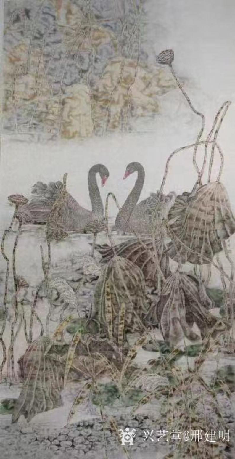 邢建明国画作品《花鸟画-秋荷》【图0】