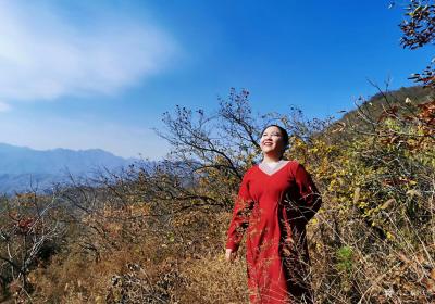 任燕日记-国画山水画《山乡深处有人家》《家园》，辛丑年冬月任南熹。
完稿后依然兴奋，心中【图3】