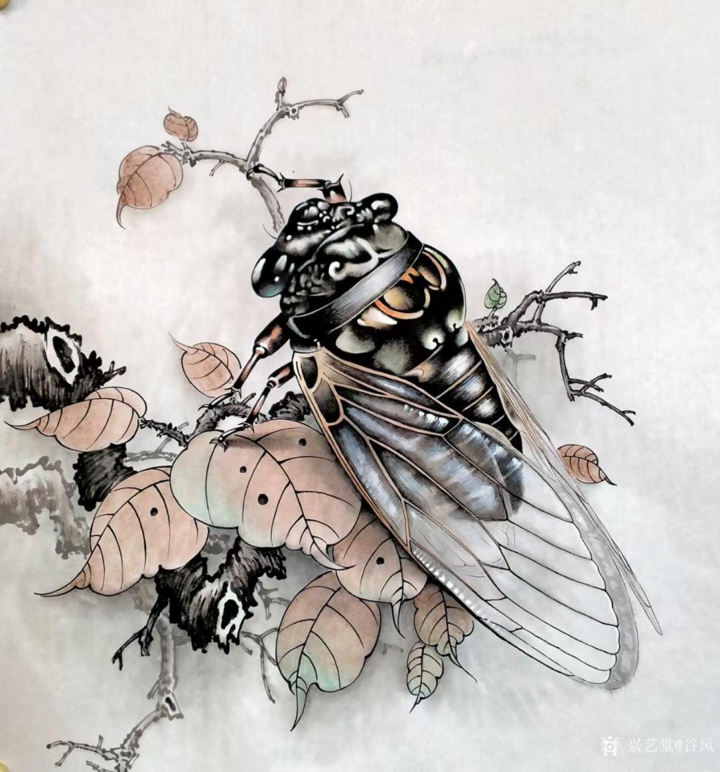 谷风国画作品《工笔花鸟画-知了1》
