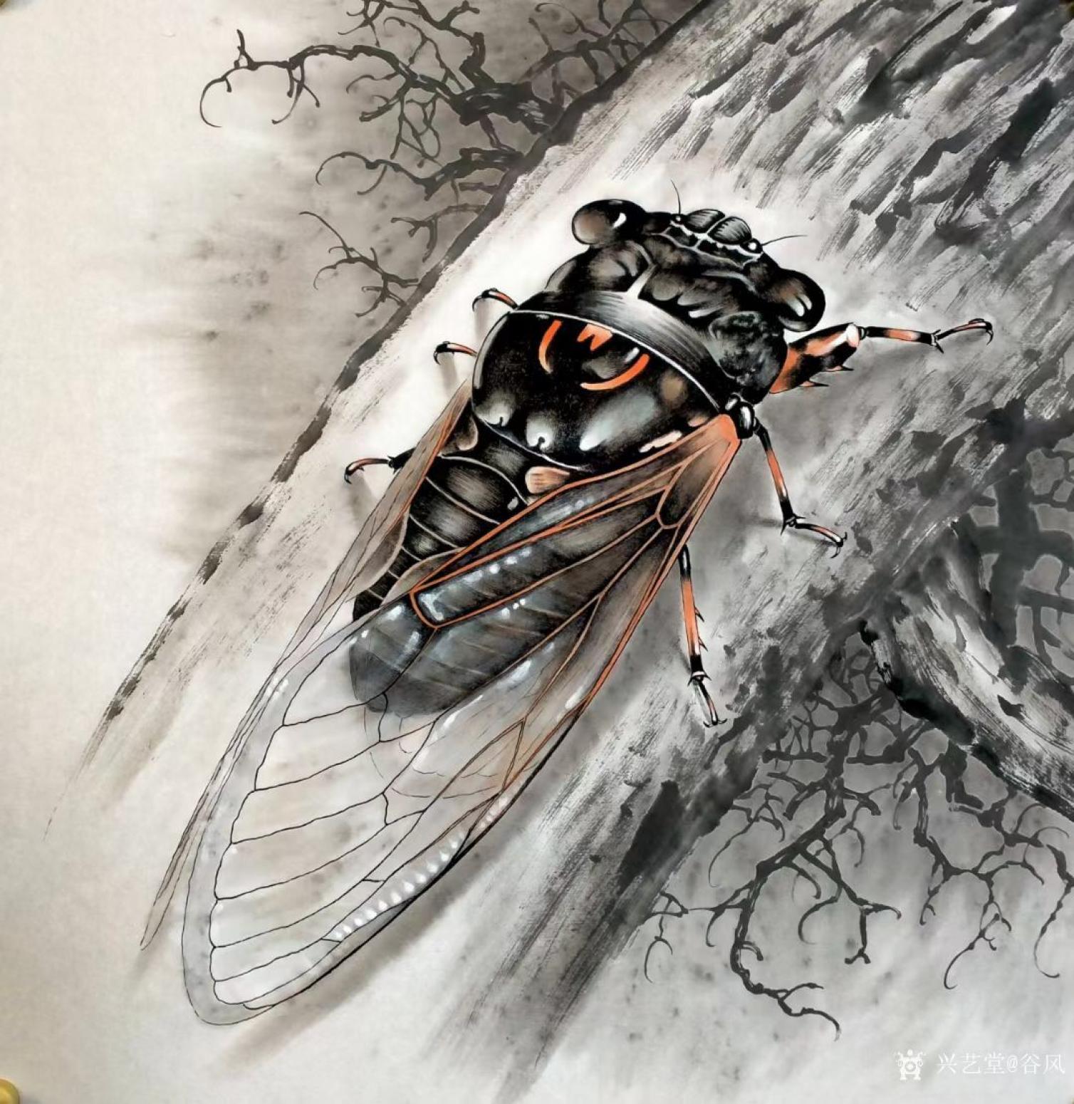 谷风国画作品《工笔花鸟画-知了2》【图0】