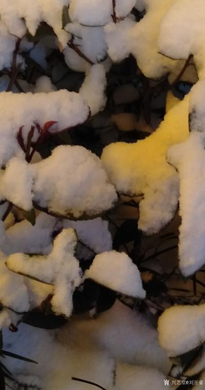 刘开豪生活-下雪了【图2】