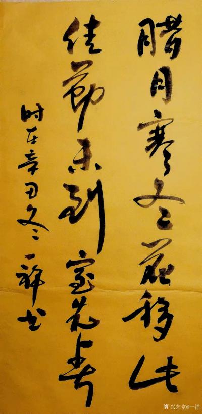 马一祥日记-腊月寒冬花移此，佳节未到室先春。昨天晚上给母亲家买了两盆花，布置一下。（附清晨随【图2】