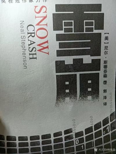 杨牧青日记-杨牧青：从美国人一本小说谈元宇宙的问题症结
大国博弈，大国战略，大国智库。美国【图1】