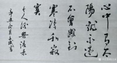 陈文斌日记-陈文斌辛丑冬月书 个人经典语录  心中有太阳 就永远不会感到寒冷和寂寞。【图1】