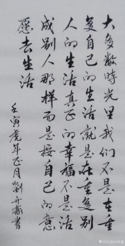 刘开豪日记-《按自己的意愿去生活》书法    大多数时光里我们不是在重复自己的生活就是在重复【图1】
