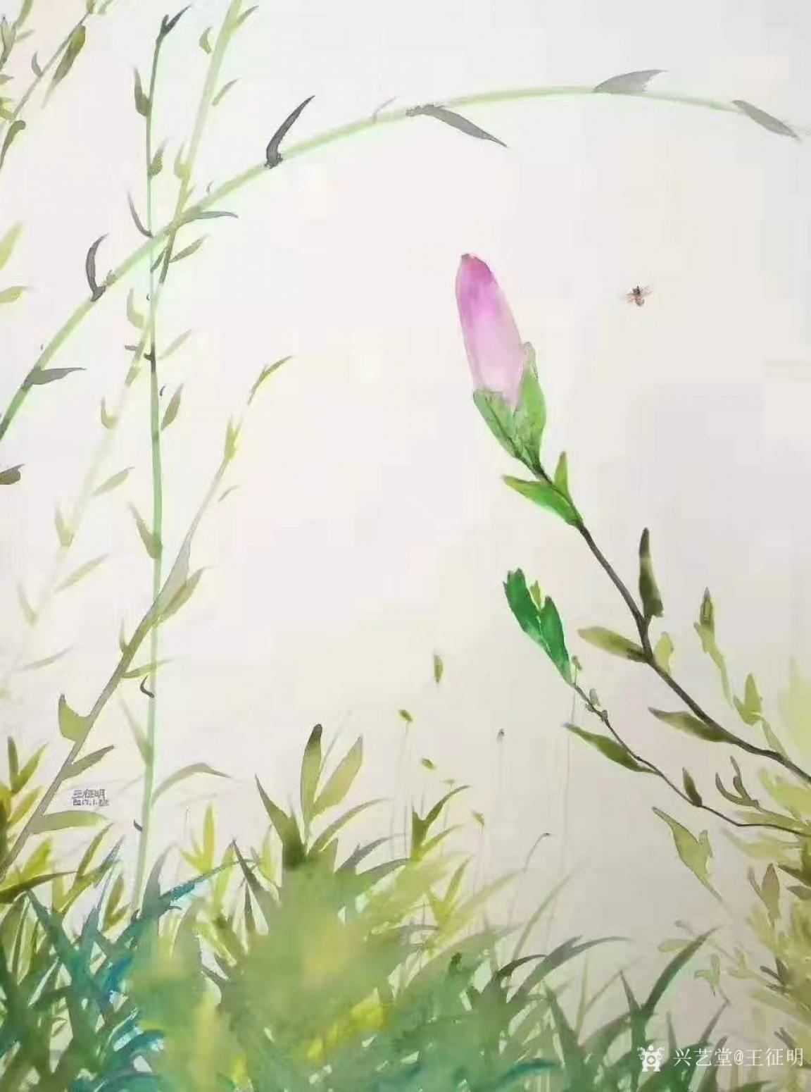 王征明国画作品《水意画“春”》