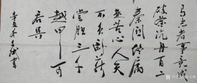 陈文斌日记-书法作品《有志者事竞成，破釜沉舟百二秦观终属楚，苦心人天不负，卧薪尝胆，三千越甲【图1】