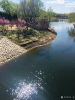 艺术家马一祥日记:梅花沁心脾，玉兰香人衣;路转石桥处，桃红两岸堤。清晨健步滨河【图3】