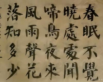 马一祥日记-楷书练习：昨天夜里没休息好，有点像下夜班似的，感觉烦躁。今天上午强迫自己伏案习字【图2】