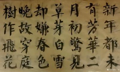 马一祥日记-楷书练习：昨天夜里没休息好，有点像下夜班似的，感觉烦躁。今天上午强迫自己伏案习字【图3】