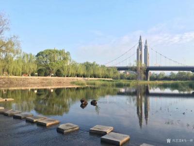 马一祥日记-一天之计在于晨，雨后更添气象新；欲往桥南却向北，依依垂柳燕鸣春。于昨日。【图2】