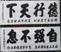 艺术家陈祖松日记:书法作品文字
龙行天下：  龙行天下前程远，凤舞太空出彩多【图4】