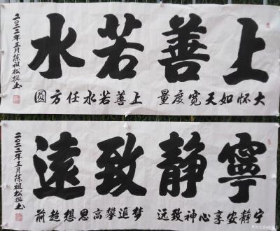 陈祖松日记-书法作品文字
龙行天下：  龙行天下前程远，凤舞太空出彩多。
天道酬勤：  【图6】