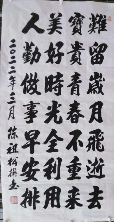 陈祖松日记-书法作品文字
龙行天下：  龙行天下前程远，凤舞太空出彩多。
天道酬勤：  【图11】