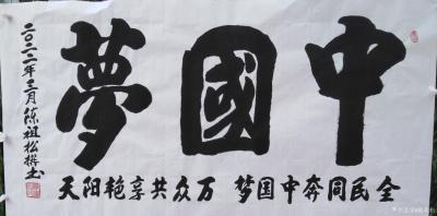 陈祖松日记-书法作品文字
龙行天下：  龙行天下前程远，凤舞太空出彩多。
天道酬勤：  【图13】