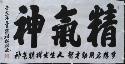 陈祖松日记-书法作品文字
龙行天下：  龙行天下前程远，凤舞太空出彩多。
天道酬勤：  【图14】