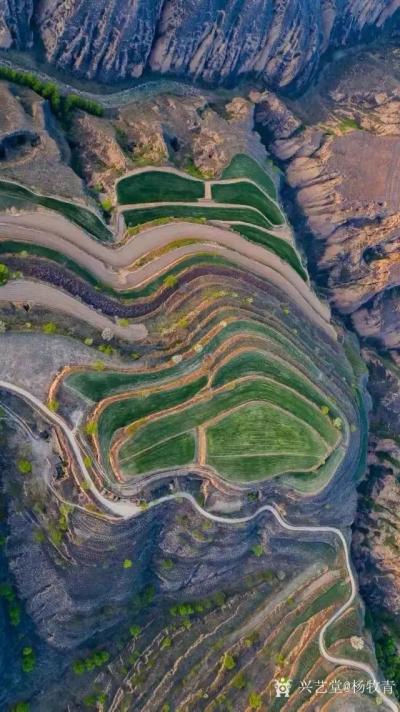 杨牧青日记-杨牧青：八千年的中国历史为什么要看甘肃呢？
  当今在人们热衷探讨探究华夏文化【图1】