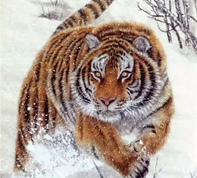 艾大伟兴艺空间精选封面动态图片