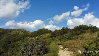 马一祥日记-诏问山中何所有赋诗以答 
(南北朝 · 陶弘景)
山中何【图1】