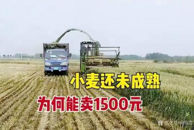 杨牧青日记-警惕！坚决不能让资本绑架了粮食安全与底线保障！
（来源引用：《信息资讯平台》，【图1】