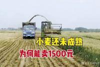 艺术家杨牧青日记:警惕！坚决不能让资本绑架了粮食安全与底线保障！
（来源引用【图0】