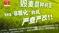 艺术家杨牧青日记:警惕！坚决不能让资本绑架了粮食安全与底线保障！
（来源引用【图1】