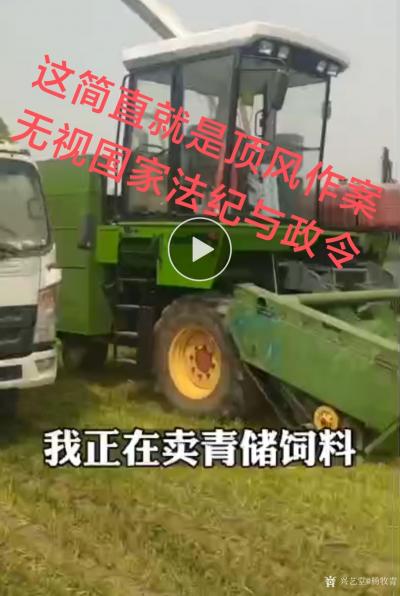 杨牧青日记-同志们！醒醒吧！绝不能糟蹋粮食毁坏小麦icon等主要口粮的生产啊！
前日，因近【图1】