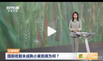 杨牧青日记-同志们！醒醒吧！绝不能糟蹋粮食毁坏小麦icon等主要口粮的生产啊！
前日，因近【图3】