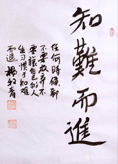 杨牧青日记-书法：知难而进
规格：35cmx45cm/1.6平尺
#杨牧青#甲骨文#上古【图1】