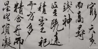 傅饶日记-无事足不出户，闭门胡写乱画。乐饮一壶老酒，闲品半盏清茶。静坐常思己过，莫论是非闲【图1】