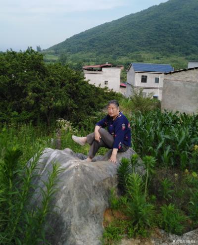 陈祖松生活-家乡山区美，桃李分外香。七旬老人快手摘李忙。【图2】