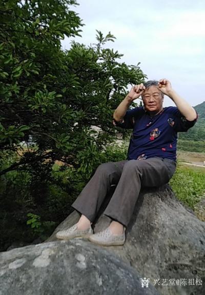 陈祖松生活-家乡山区美，桃李分外香。七旬老人快手摘李忙。【图3】