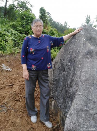 陈祖松生活-家乡山区美，桃李分外香。七旬老人快手摘李忙。【图8】