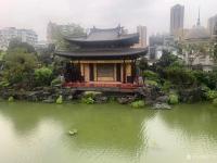 艺术家石广生收藏:“粤剧题材通草画作品展”观感。
日前应邀，冒雨前往位于广州【图0】