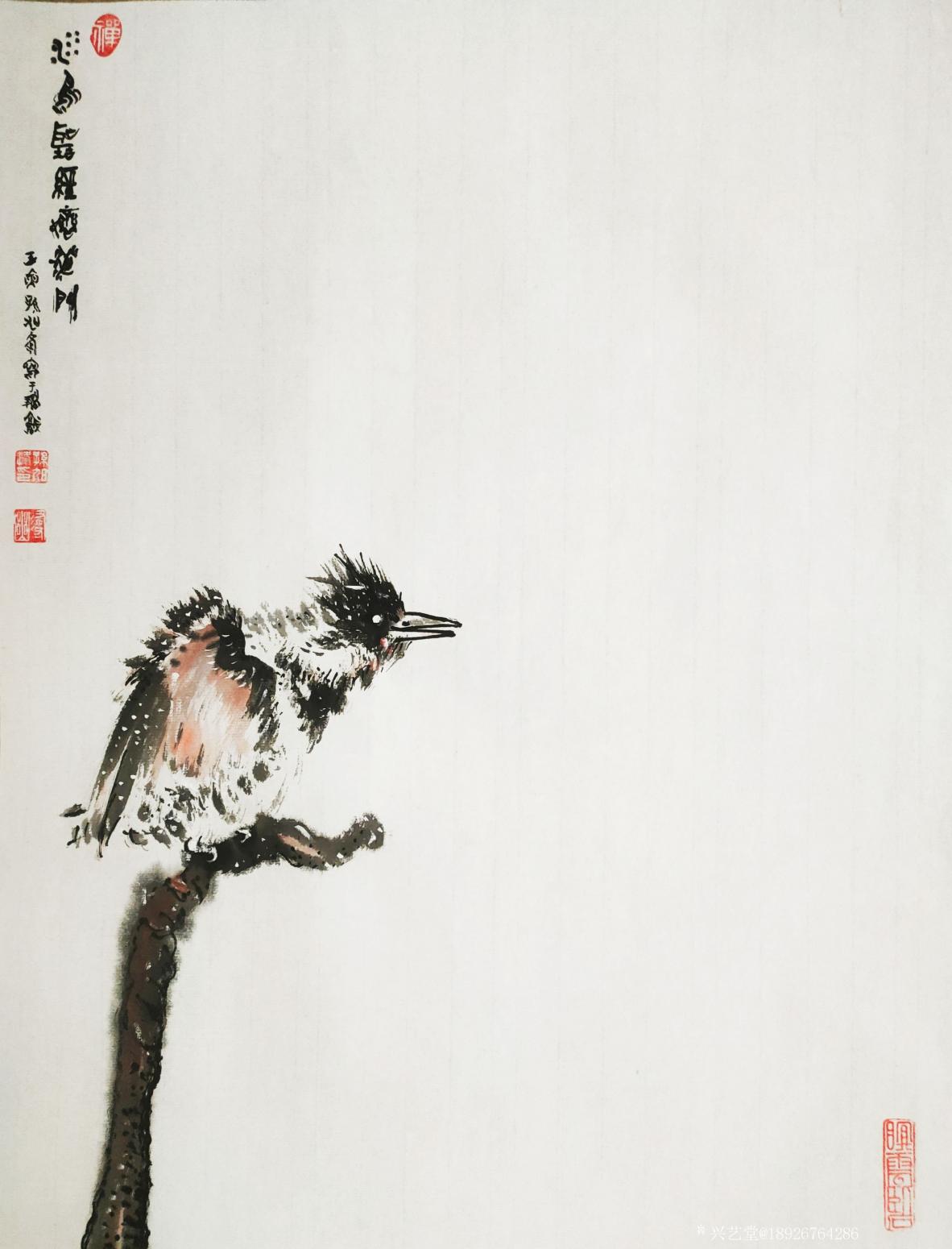 18926764286国画作品《鸟》【图0】