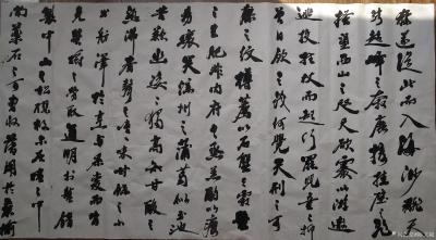 陈文斌日记-书法家陈文斌录苏东坡作品《中山松醪赋》局部！【图1】