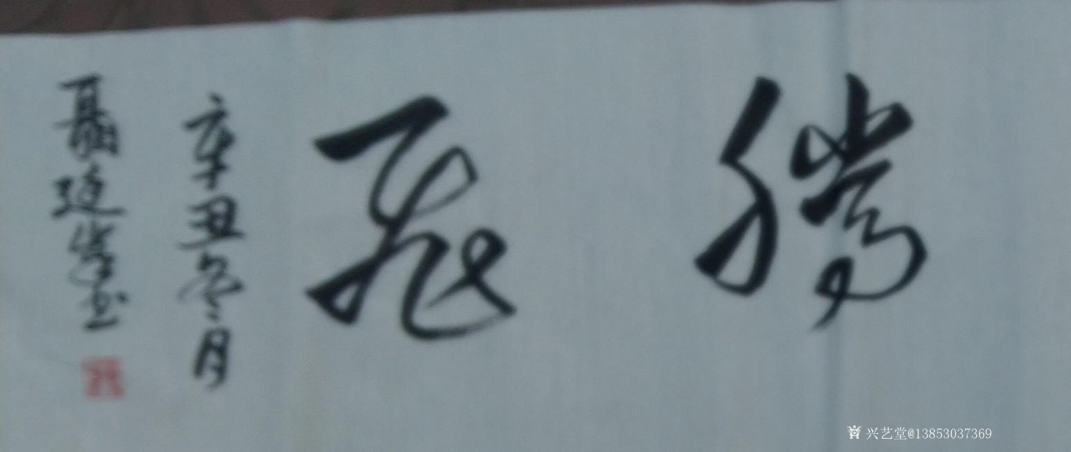 13853037369书法作品《鸿业腾飞》【图1】