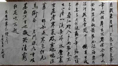 陈文斌日记-书法家陈文斌 录苏轼《黄州寒食诗》两首。【图1】