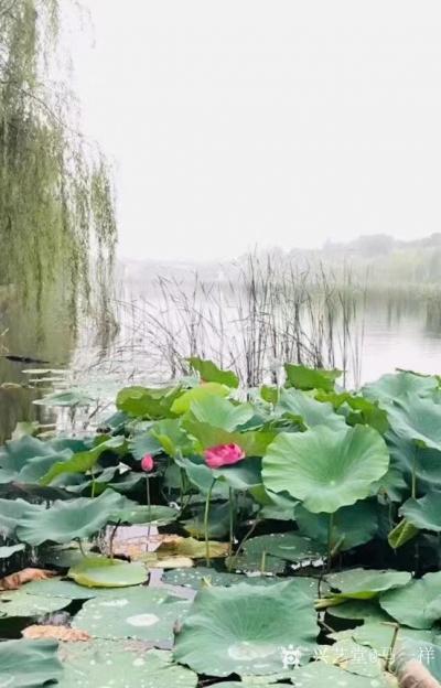 马一祥日记-烈日炎炎何处凉，高桥倩影浸池塘；柳枝帘动微风起，荷叶扇来一阵香。诗一首《荷风》（【图1】