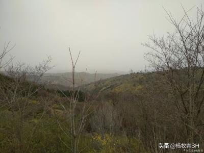 杨牧青日记-杨牧青：南佐遗址可资佐证黄帝故里第五说
位于甘肃省庆阳市西峰区的南佐遗址发现于【图1】