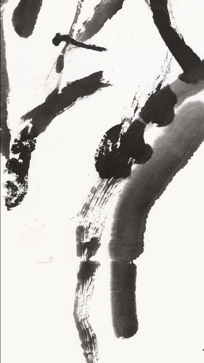 鉴藏文化收藏-崔大有作品欣赏【图15】