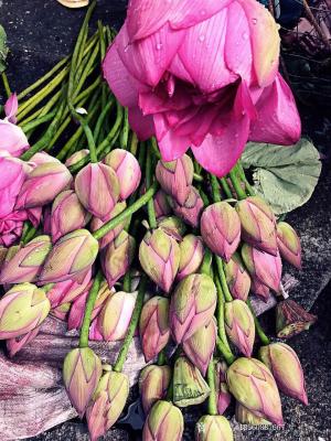 18560887667兴艺空间精选封面动态图片