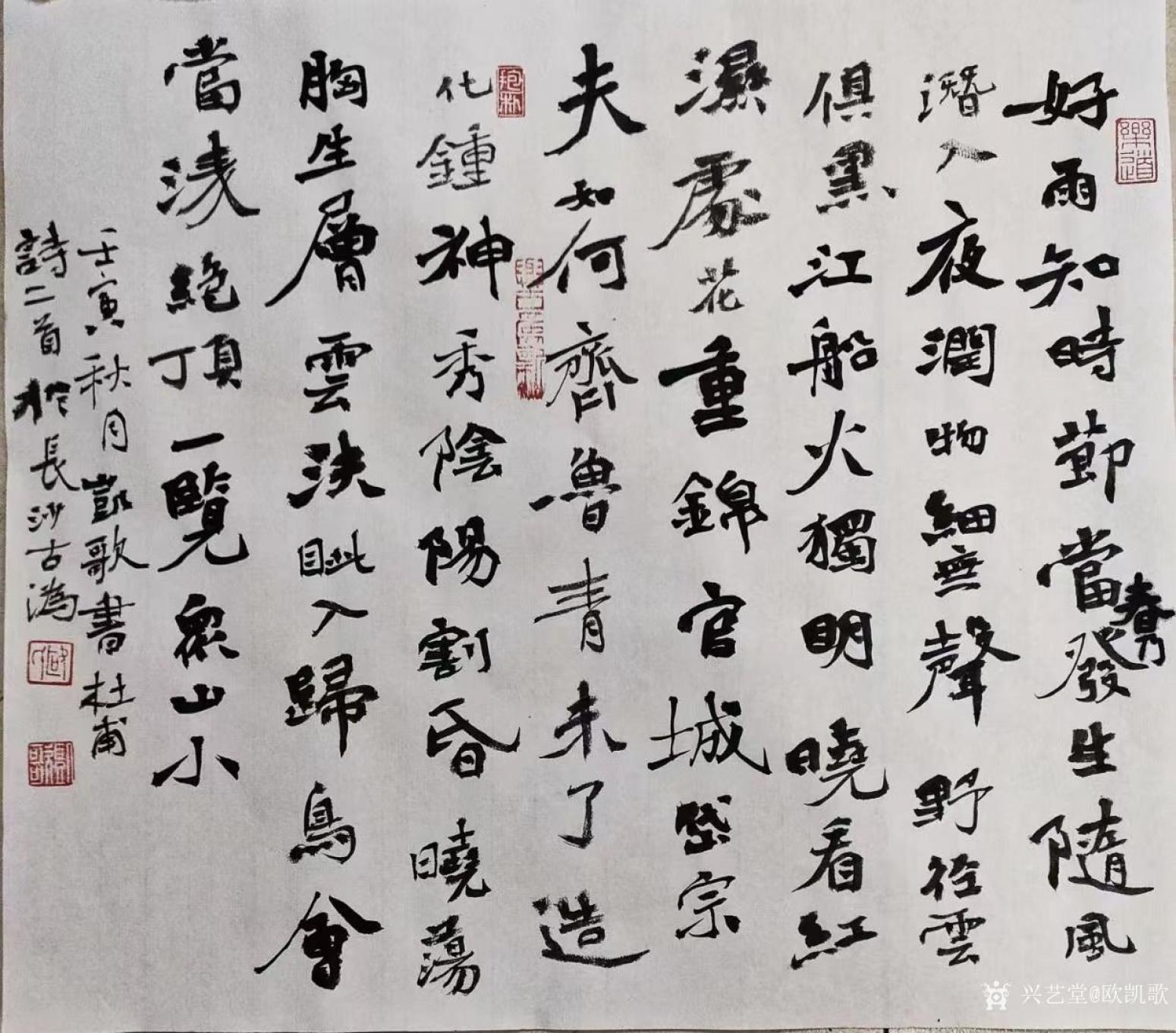 欧凯歌书法作品《丑书录杜甫春夜喜雨》