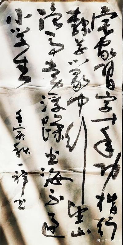 马一祥日记-有小动物陪伴不孤单：宅家习字十年功，楷行隶草篆中行，望山跑马常浮躁，书海不过小学【图2】