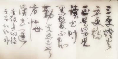 马一祥日记-草书章法学习【图1】