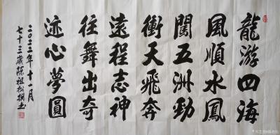 陈祖松日记-行楷书法：龙游四海风顺水，凤闯五洲劲冲天。飞奔远程志神往，舞出奇迹心梦圆。【图1】